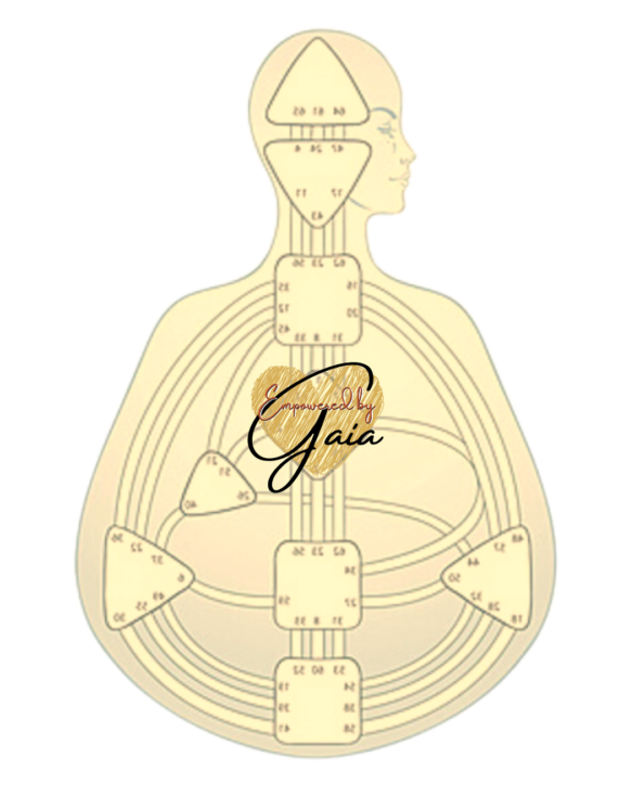 Bodygraph with Logo